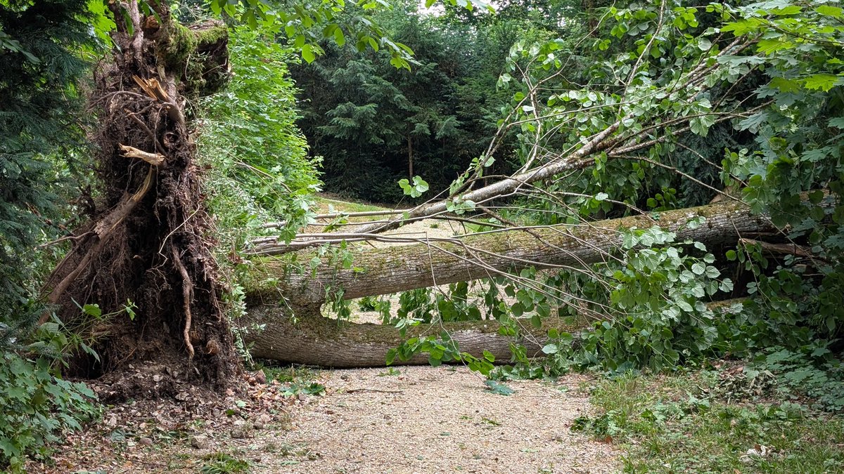 Weitere Spuren rund um die Region Solothurn. Es werden laufend neue Schäden erfasst.
📸: Region Solothurn
