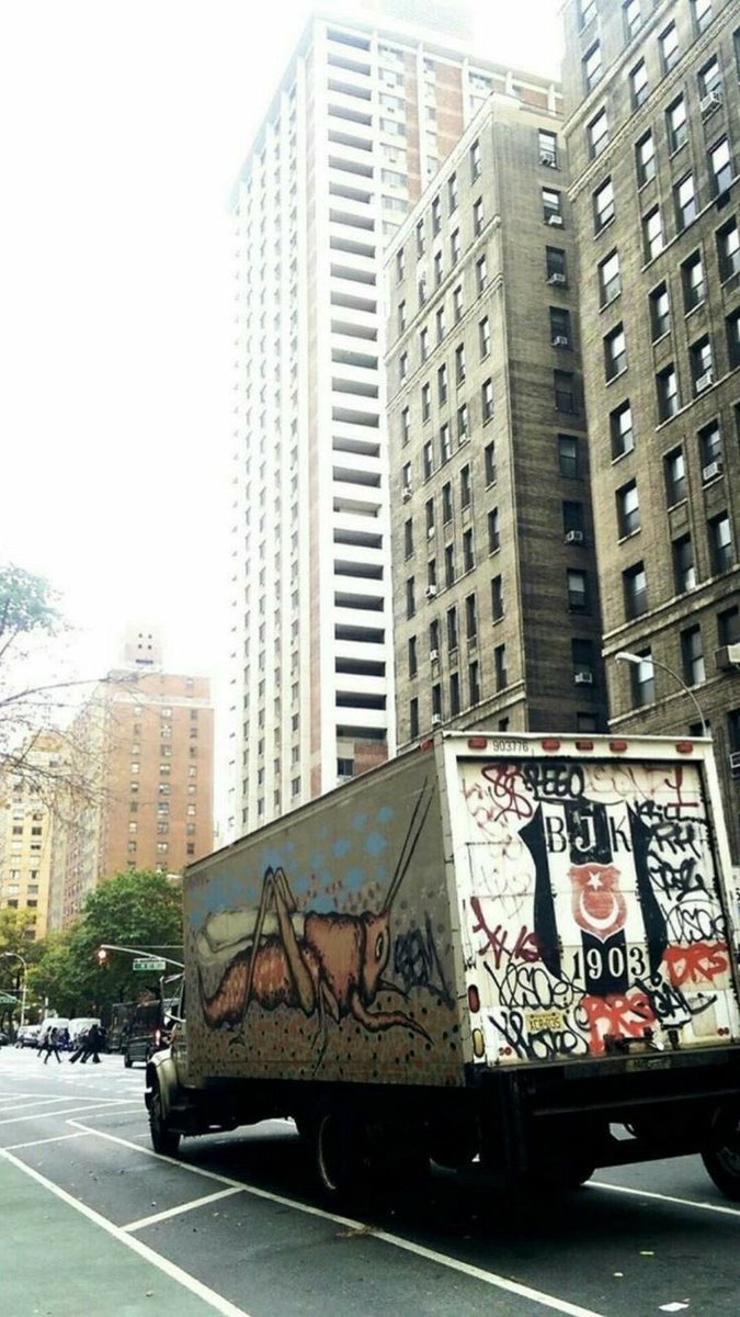 Beşiktaş Pics (@picsbesiktas) on Twitter photo 