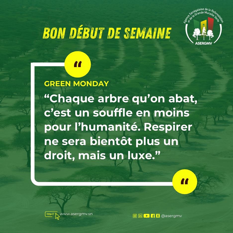 𝔾ℝ𝔼𝔼ℕ 𝕄𝕆ℕ𝔻𝔸𝕐

🌱 “Chaque arbre qu’on abat, c’est un souffle en moins pour l’humanité. Respirer ne sera bientôt plus un droit, mais un luxe.”

Bonne semaine de travail à toutes et à tous.

#StopDéforestation #ASERGMV #dakar #GMV #senegal #environnement #GreenMonday