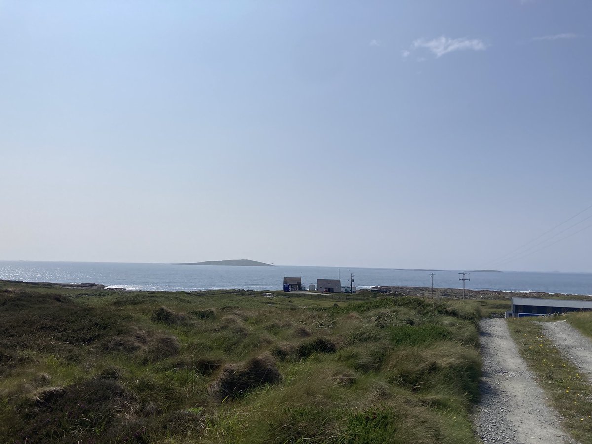 A sunny afternoon last Friday.