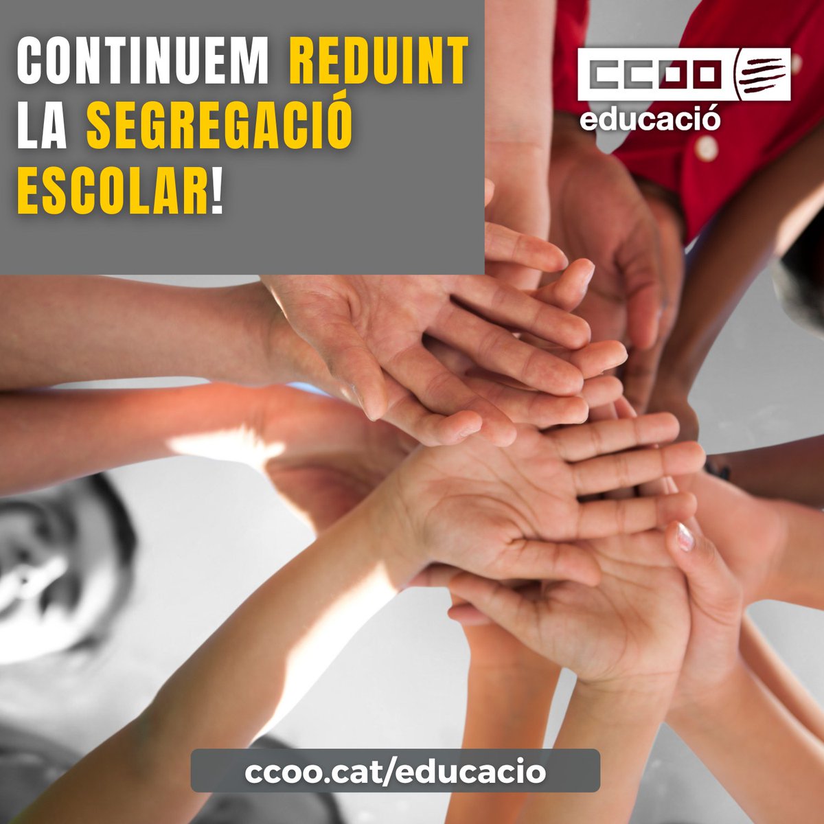 CONTINUEM REDUINT LA SEGREGACIÓ ESCOLAR 

⬇️ La segregació global s’ha reduït en un 25%

📝 S'ha reduït un 25% la matrícula viva assignada a CMC

✊  Reclamem que les reserves per l’alumnat NEE B es mantinguin tot el curs

🔗 ccoo.cat/educacio/notic…