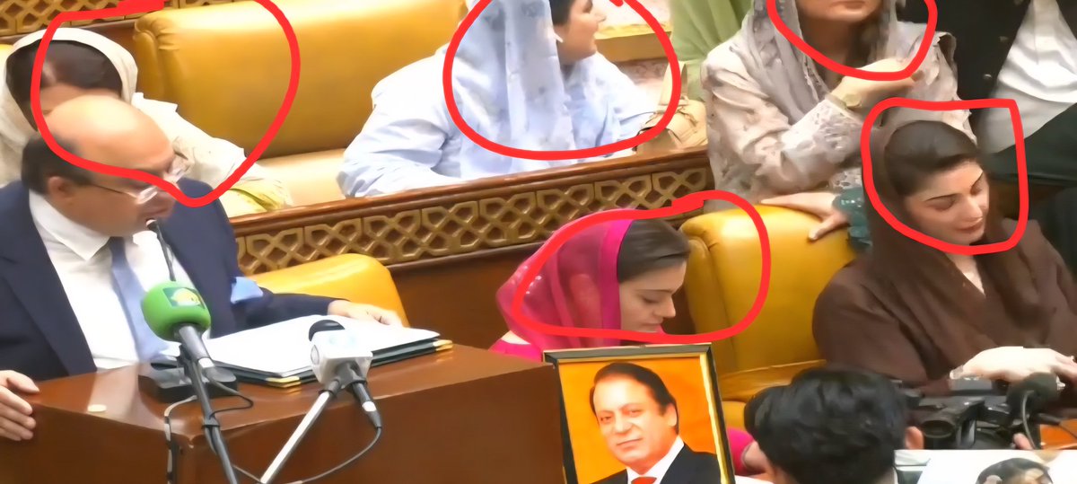 ہماری اسٹیبلشمنٹ کی بصیرت ملاحظہ کریں کہ پنجاب ان عورتوں کے حوالے کردیا ہے جو عورتیں اپنے گھر نہیں چلا سکیں ، افسوس