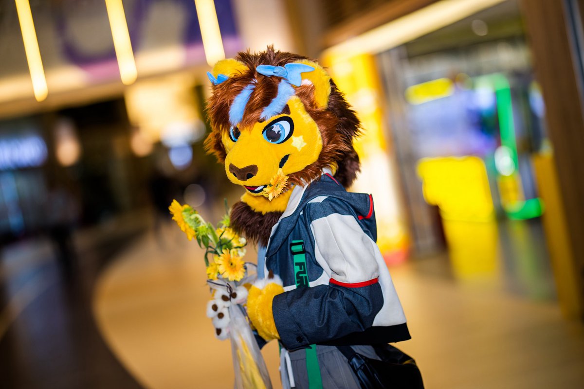 Andex_小轩 🇨🇳 (@andex_lion) on Twitter photo 送给你们一捧小花花
#FursuitEverday 送给你们一捧小花花
#FursuitEverday