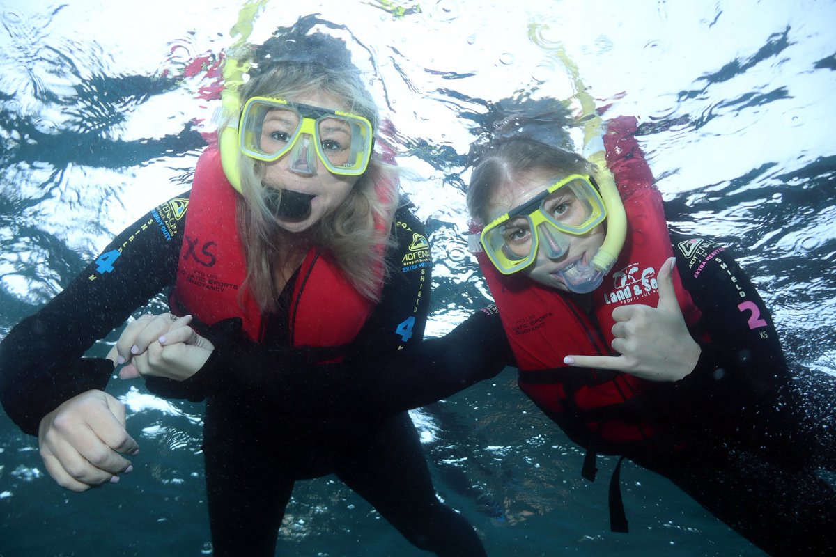 katelynn🌸 tweet media