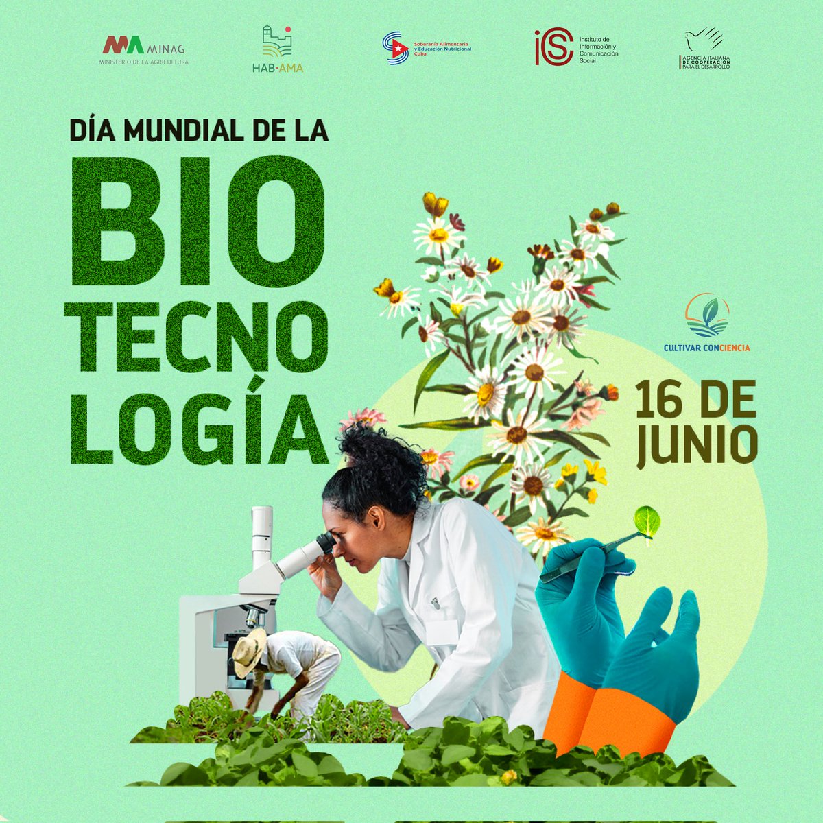 La #biotecnología es esencial para lograr una producción agrícola eficiente, saludable y en armonía con el entorno. Mejora la resistencia de los cultivos a plagas y sequías, reduce el uso de productos químicos, protege la biodiversidad y promueve prácticas más sostenibles. 🌱🔬