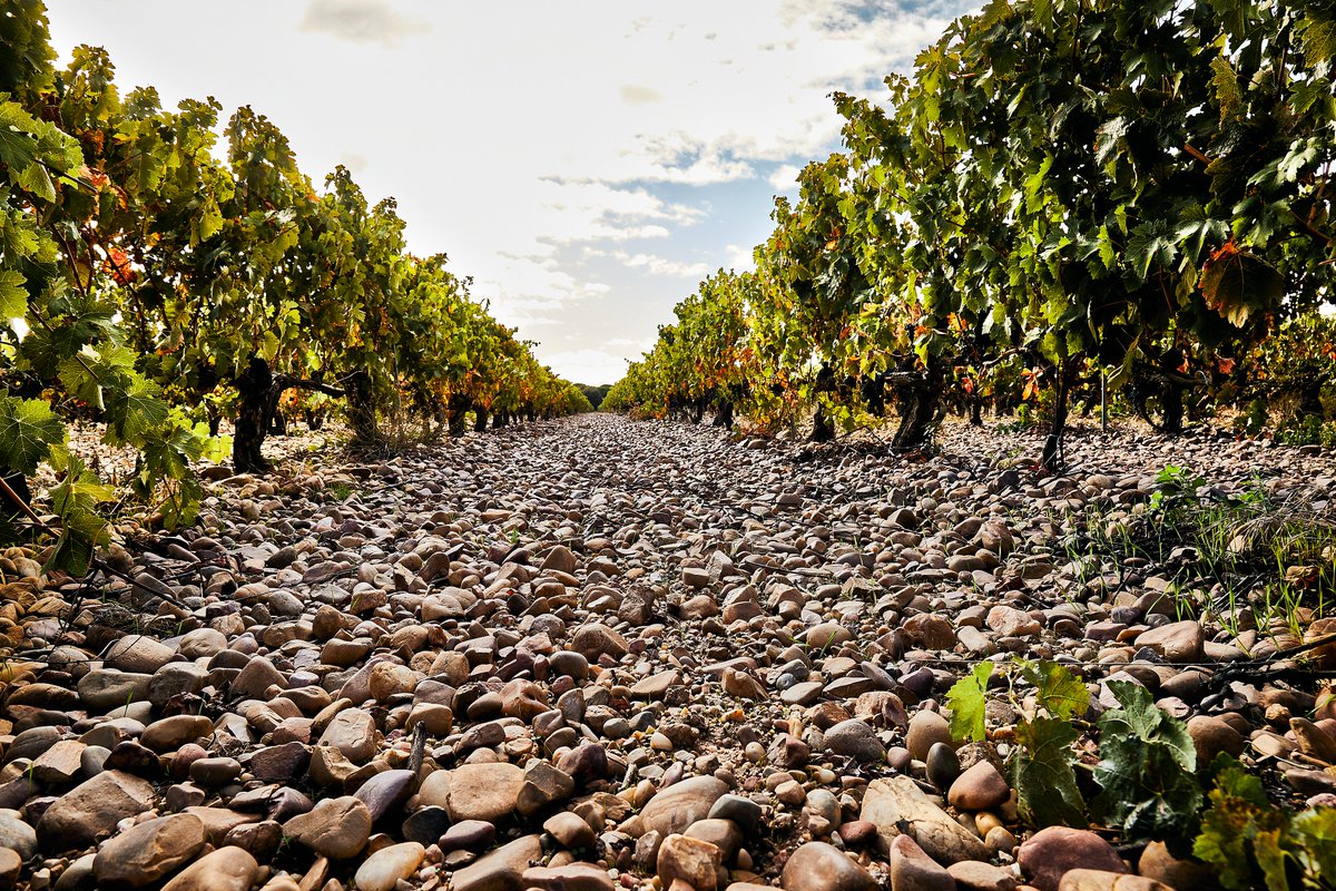 ByV_VALDERIZ tweet media