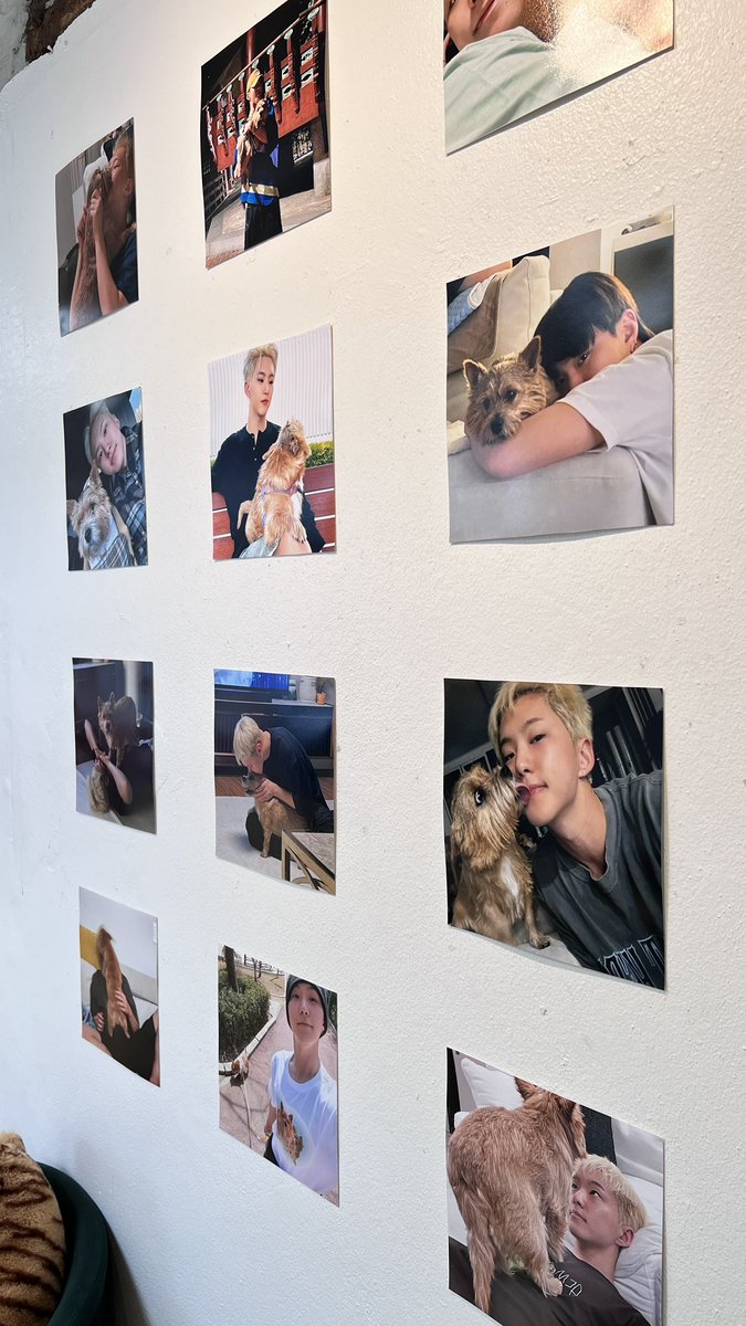 chorpor 💜✨🐥 tweet media