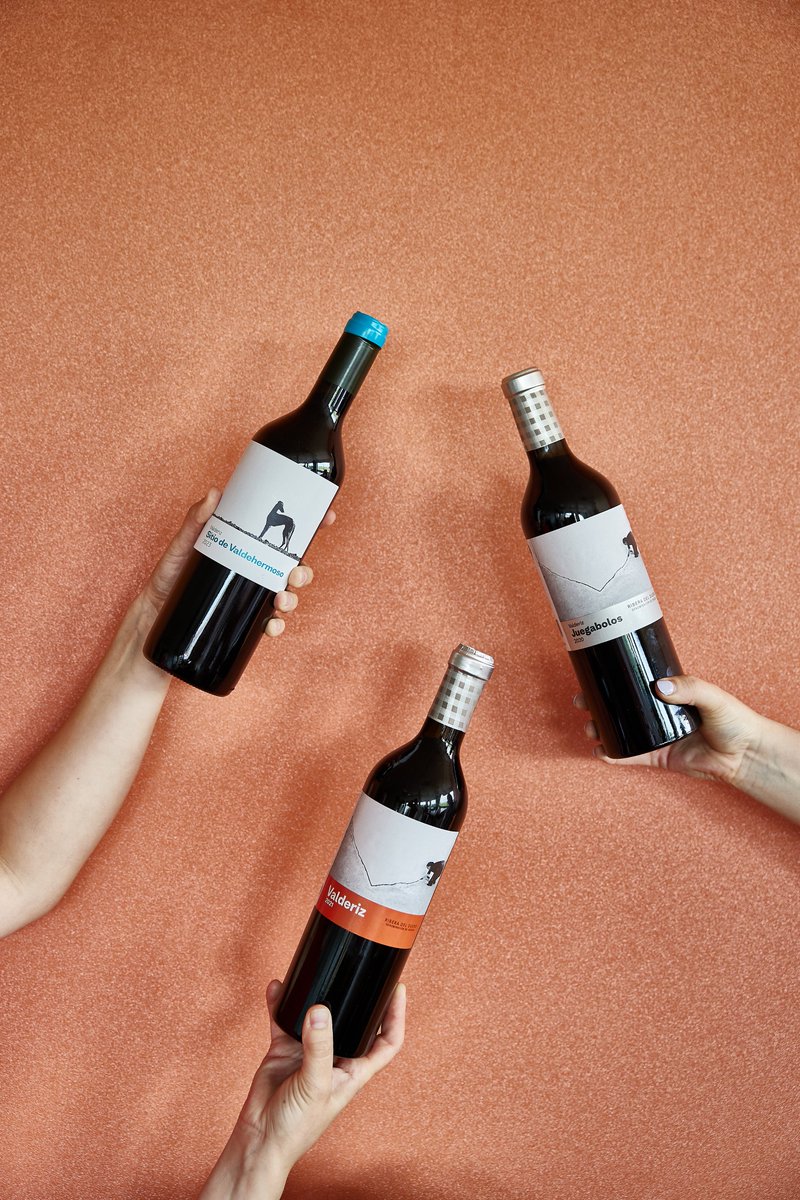 ¿Te cuesta decidirte? En Valderiz te lo ponemos fácil: hemos creado un pack con 3 vinos imprescindibles 🍷
Ya disponible en la web.

Y si te suscribes a la newsletter, ¡tienes un 15% de descuento en tu primera compra! 😉

valderiz.com/tienda/bodegas…