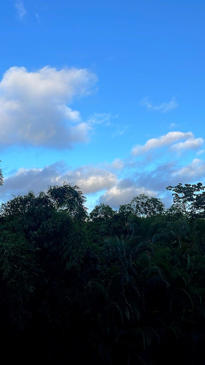 El contraste del lunes. Buen día. #DesdeElOasis