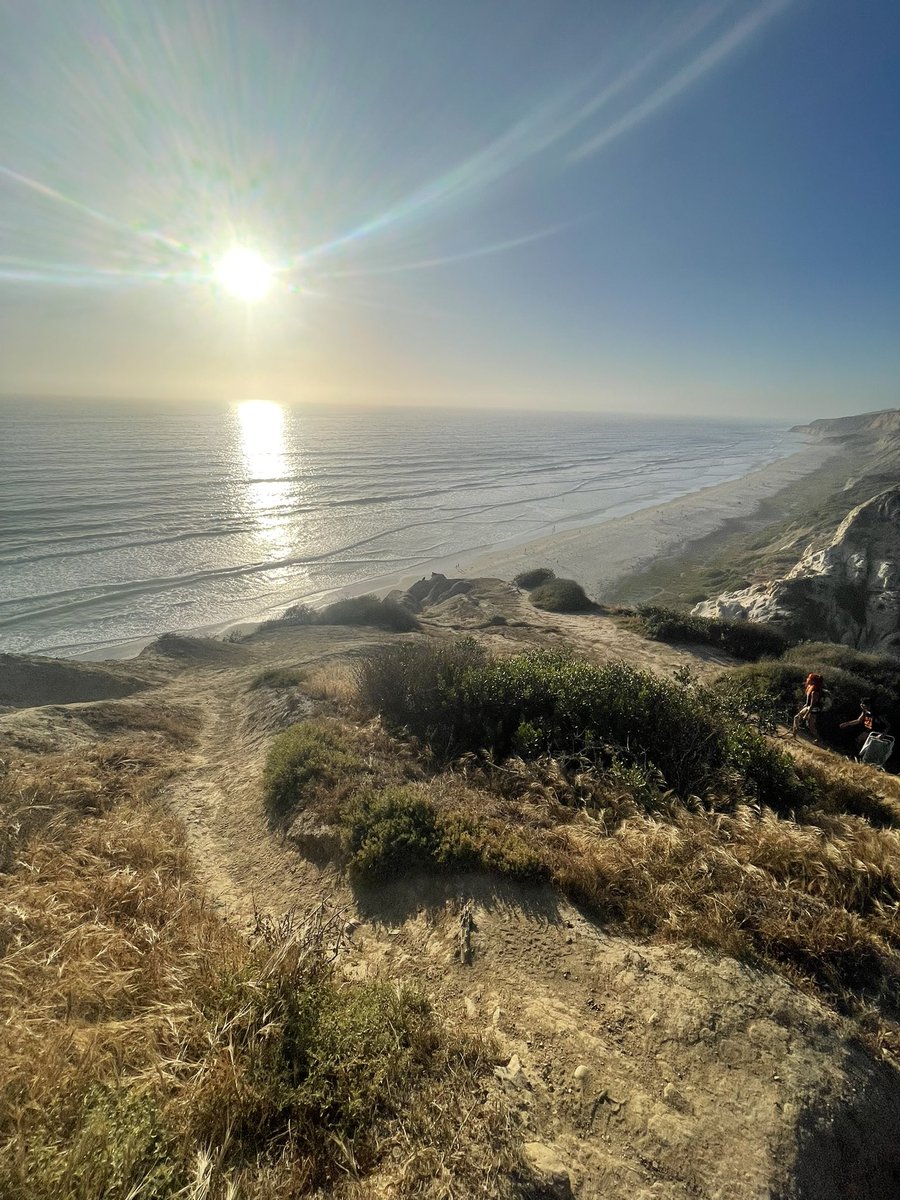 Kurt Summers tweet media
