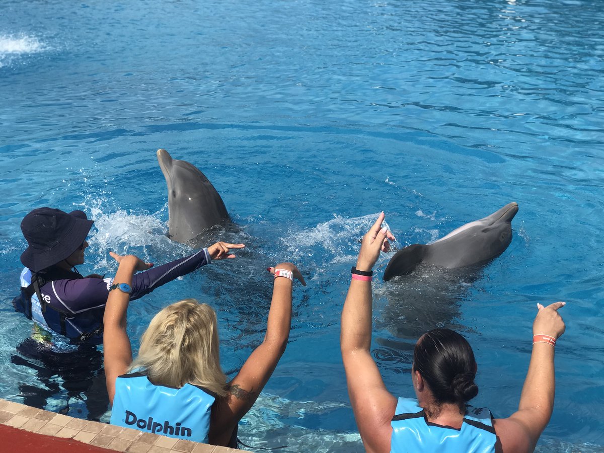 Celebramos un aniversario más de Dolphin Discovery Maroma, un Hábitat único que nos ha permitido compartir experiencias inolvidables con miles de visitantes en el corazón del Caribe Mexicano.

Agradecemos a nuestros colaboradores por su dedicación y a nuestros visitantes por su