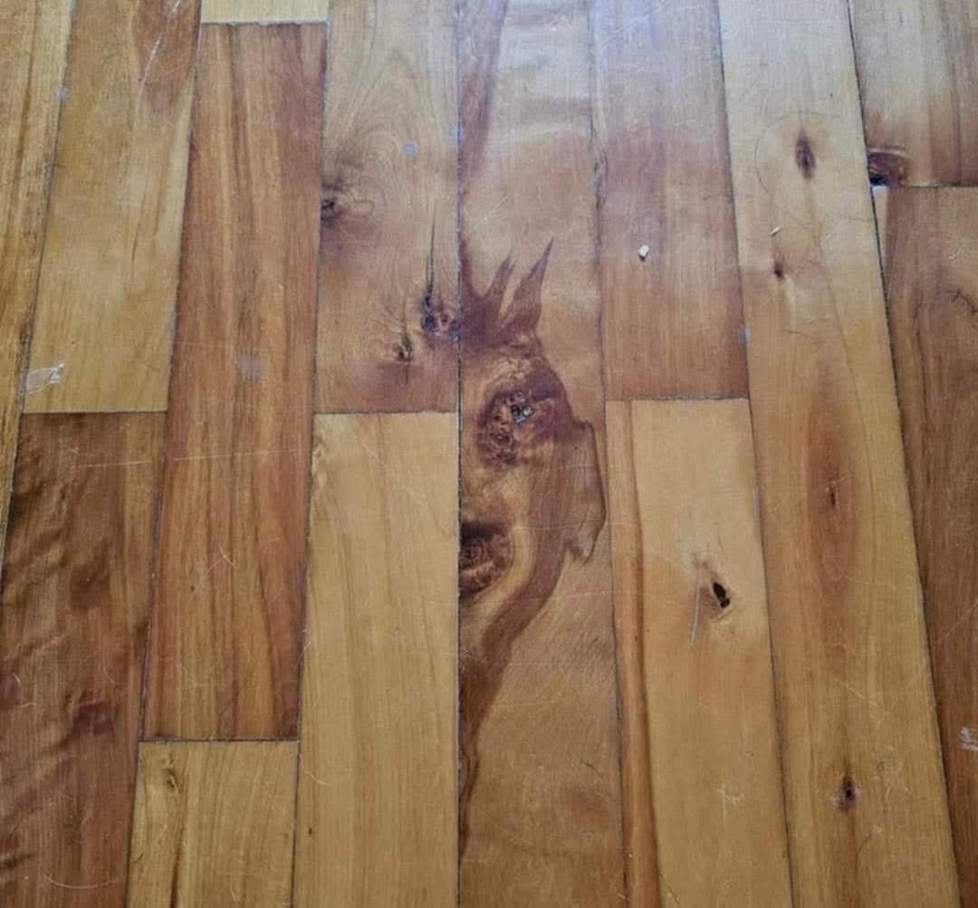 Nail tweet media