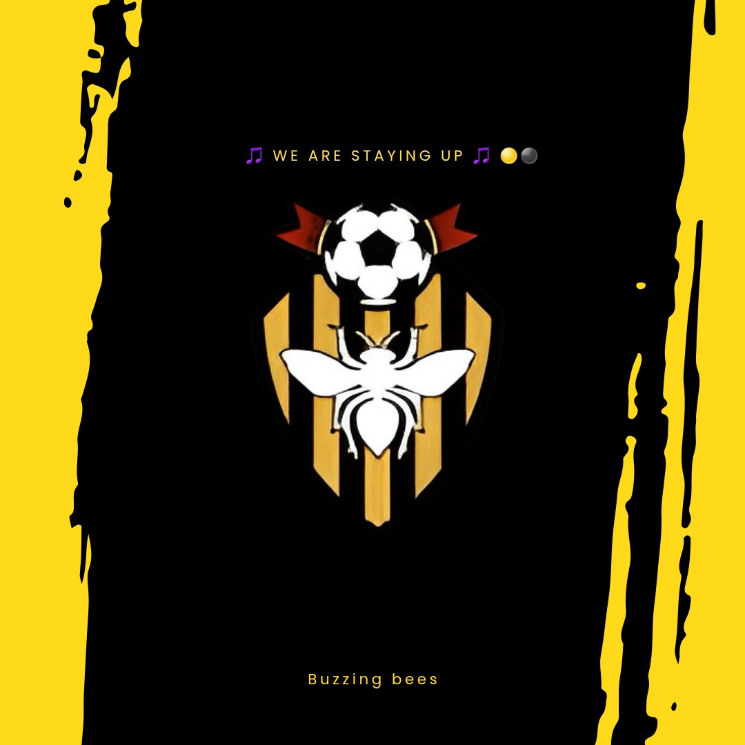 BuzzingBees1's tweet photo. WE ARE STAYING UP SAY WE ARE STAYING UP 🎵 @finnley_stewart @Lcfc_olly #FIFA #buzzingbees #clubs #football https://t.co/r78UkxcGd6