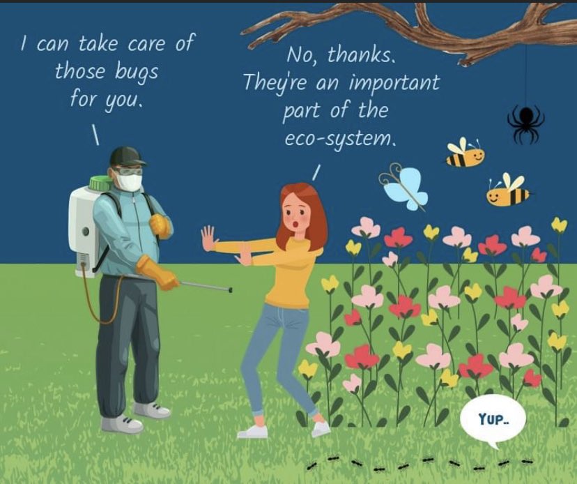 Thanks to all the #bees, moths, butterflies, beetles, flies, bats, hummingbirds and ants out there. Happy #PollinatorWeek!