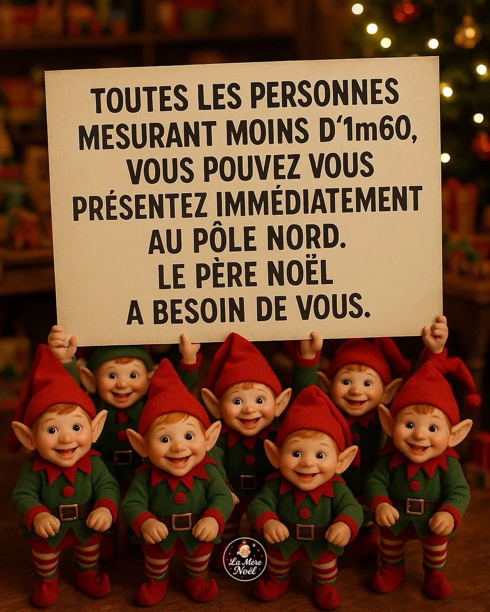 The Joconde 🐦 (@viedelajoconde) on Twitter photo 