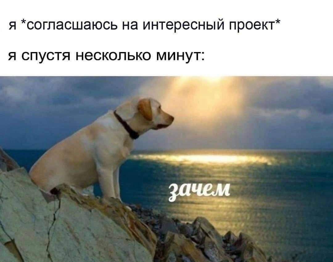 И так каждый раз!