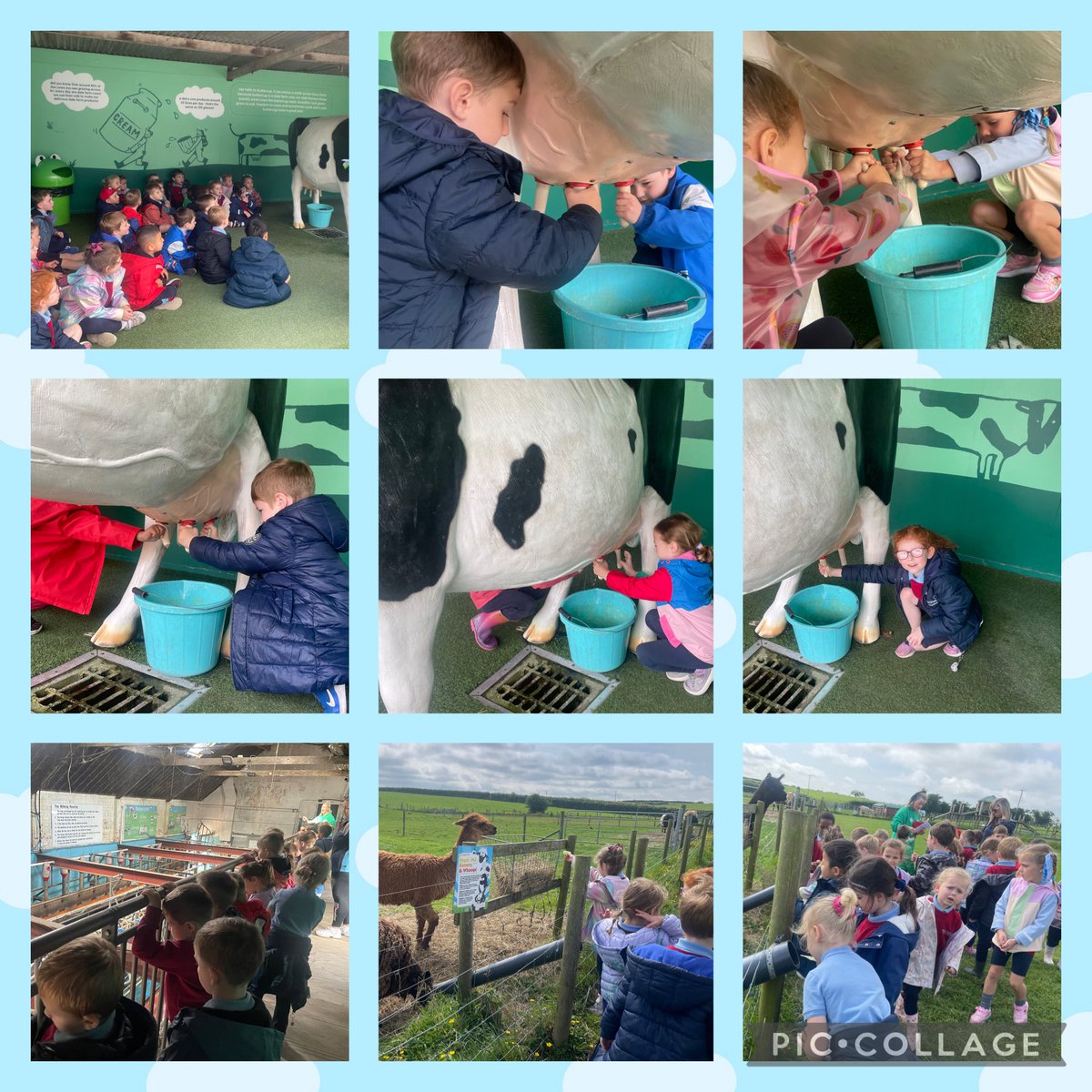 pondparkp1's tweet photo. P1L had a fabulous time at Streamvale Farm. We got to see lots of animals, go on a tractor ride and even got to stroke some of the smaller animals at the farm! We loved it! 🦆 🐷 🐮 🐴 🚜 https://t.co/oM6K2yJCf8