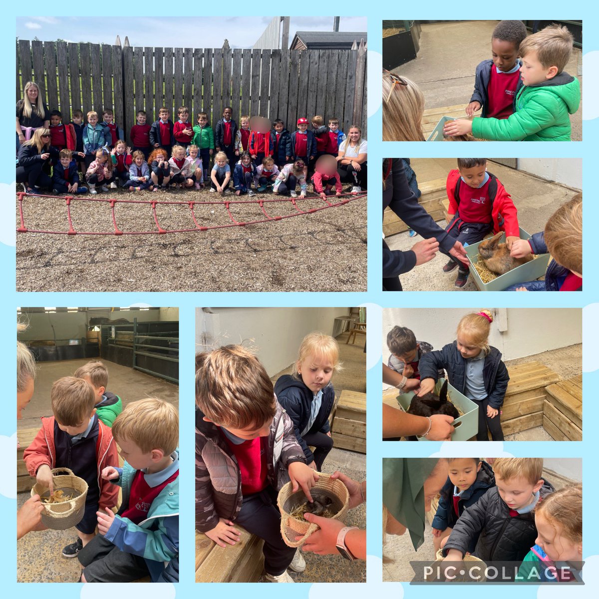 pondparkp1's tweet photo. P1L had a fabulous time at Streamvale Farm. We got to see lots of animals, go on a tractor ride and even got to stroke some of the smaller animals at the farm! We loved it! 🦆 🐷 🐮 🐴 🚜 https://t.co/oM6K2yJCf8