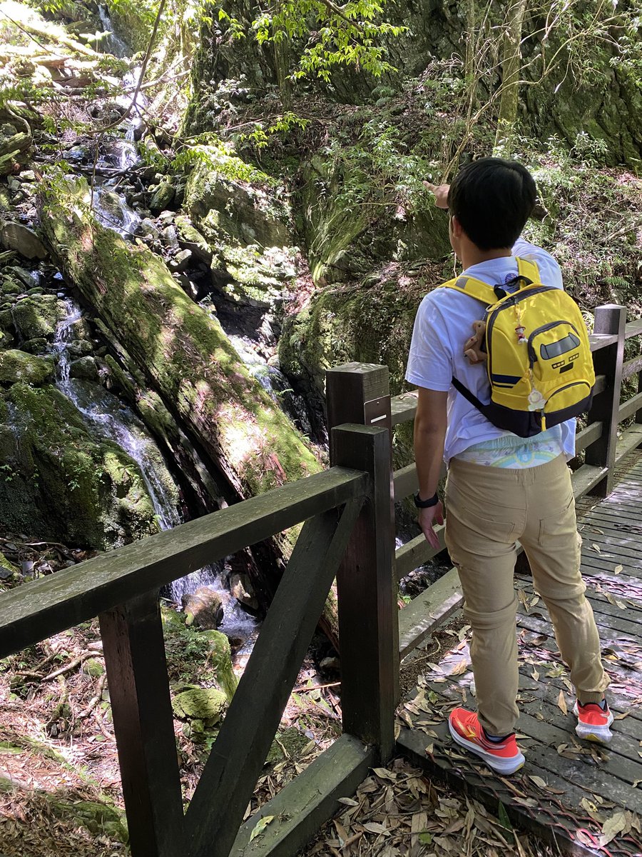 炎熱的夏天去山上玩最棒！

尤其是對還在包尿布的寶寶來說，山上的氣溫超舒適，可以盡情的在森林裡玩耍也不悶熱喔！

寶寶說要在這裡找他最喜歡的恐龍🦖（這裡很像恐龍會出現的地方😆

寶寶指著前方說：恐龍就在那裡！

恐龍探險隊出發🧭🗺️

#abdl
#LittleKings