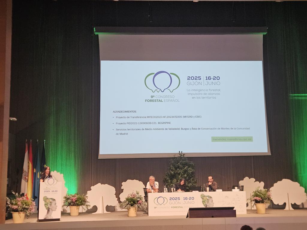 Beginpine tweet media