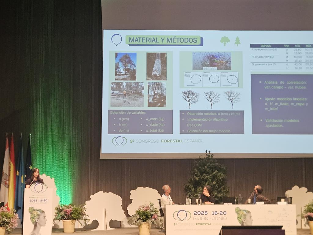 Beginpine tweet media