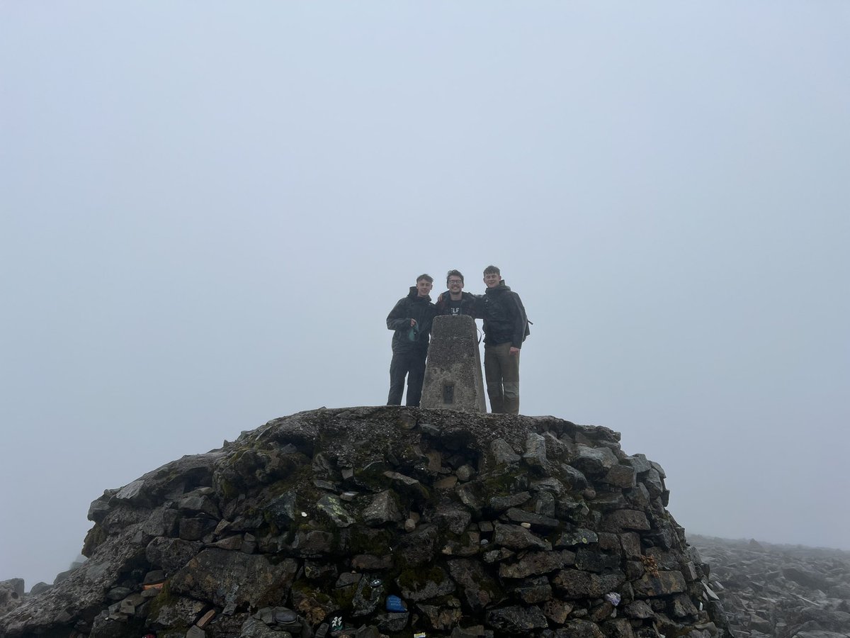 Fin Brown tweet media