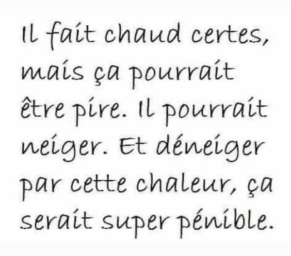 The Joconde 🐦 (@viedelajoconde) on Twitter photo 