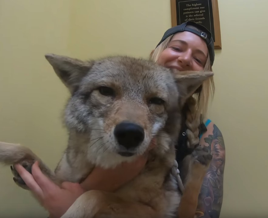 x - SAINT 𓃦 🔜 FWA tweet media