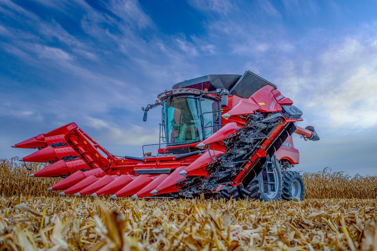 EquipmentCounty's tweet image. Harvest is near. We’ve got the gear—and the team—to keep you rolling. 💪
@Case_IH  power up front. WCEC support behind it all.
Let’s get after it. 🌽
#BuiltForTheField #FocusedOnTheFuture #WCEC #CaseIH #HarvestPrep #CornReady