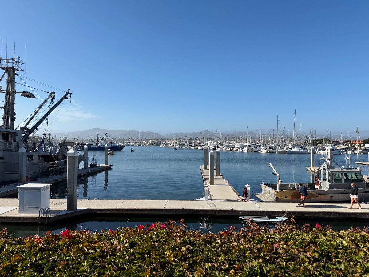 LisaCoppola's tweet photo. Some beautiful Cali moments so far…. https://t.co/iGZaWzWHPs