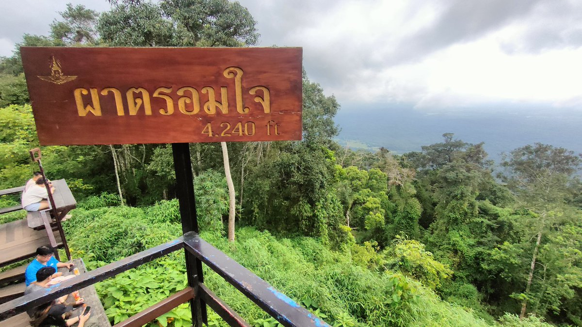 รักป่ารักเขา 🌿 แล้วไม่รักเราบ้างเหรอ
#อยุธยา
#เขาใหญ่