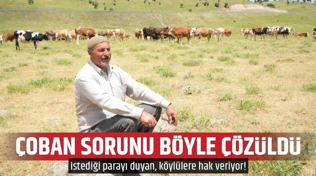 tgrthabertv's tweet photo. 💸Muş'ta bir çoban 3 aylık otlatma için 1 milyon TL isteyince köylüler imece usulüne geçerek çoban sorununu çözdü. 

Bir köylü "Her gün bir aile sırayla tüm hayvanlara bakıyor. Artık çoban tutmayacağız, ineklerimize kendimiz bakacağız." dedi.  https://t.co/Hdq4RJDSMJ https://t.co/QUiyPVe9Ii