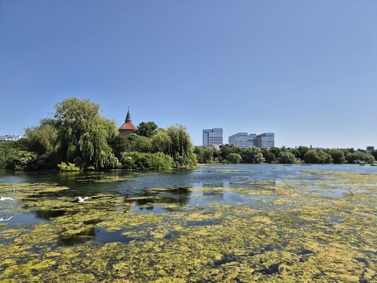 Malmö-ments from Sweden 🇸🇪 🚢