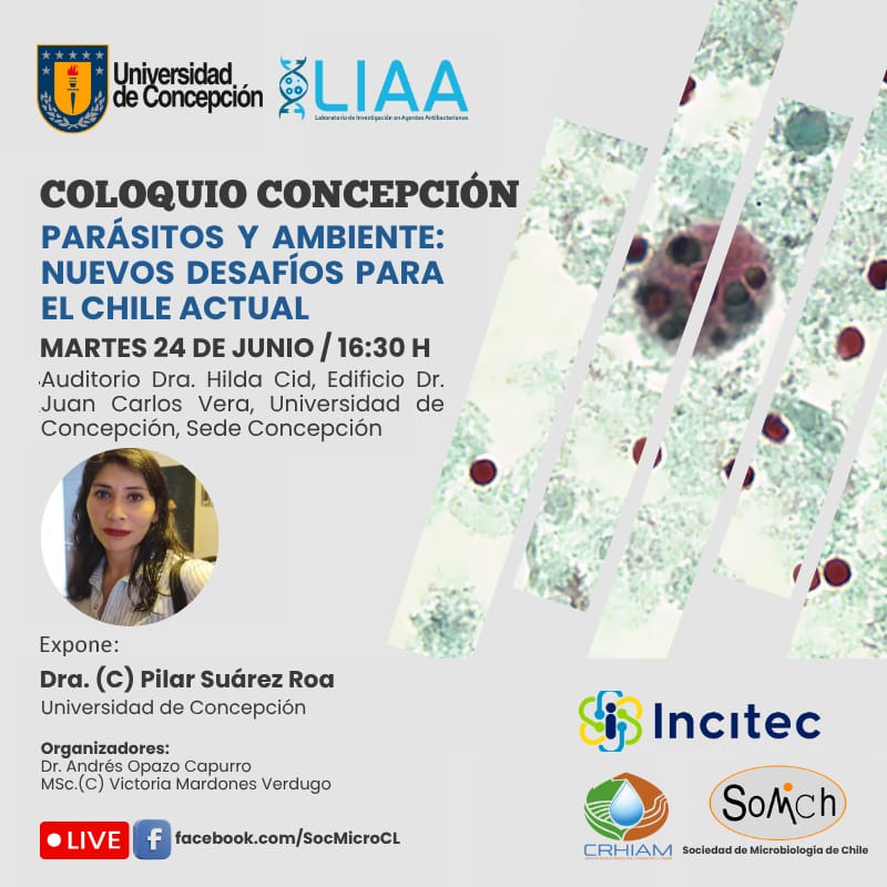 🧫✨ ¡Te invitamos a ser parte del coloquio “Parásitos y ambiente: Nuevos desafíos para el Chile actual”!

📅 Martes 24 de junio
🕠 16:30 horas
📍 Auditorio Dra. Hilda Cid, UdeC
📺 Transmisión en vivo por el canal de YouTube de SOMICH