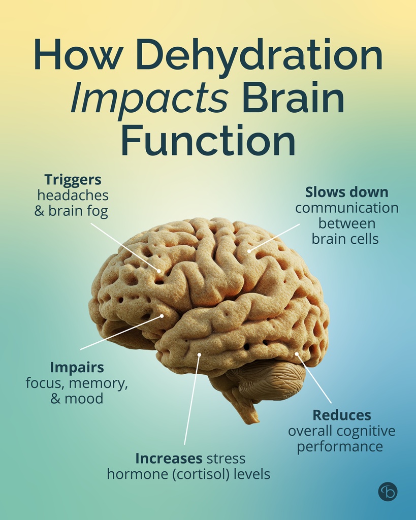 Did you know dehydration could impact your brain this much?💧

It’s recommended to drink half your bodyweight in ounces of water per day and for optimal  brain function, try adding electrolytes to your water for a boost in minerals that support focus, energy, and fluid balance.