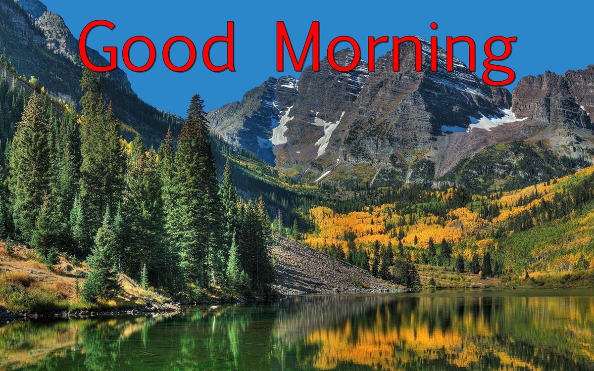 Carri N (@pooltime4life) on Twitter photo 