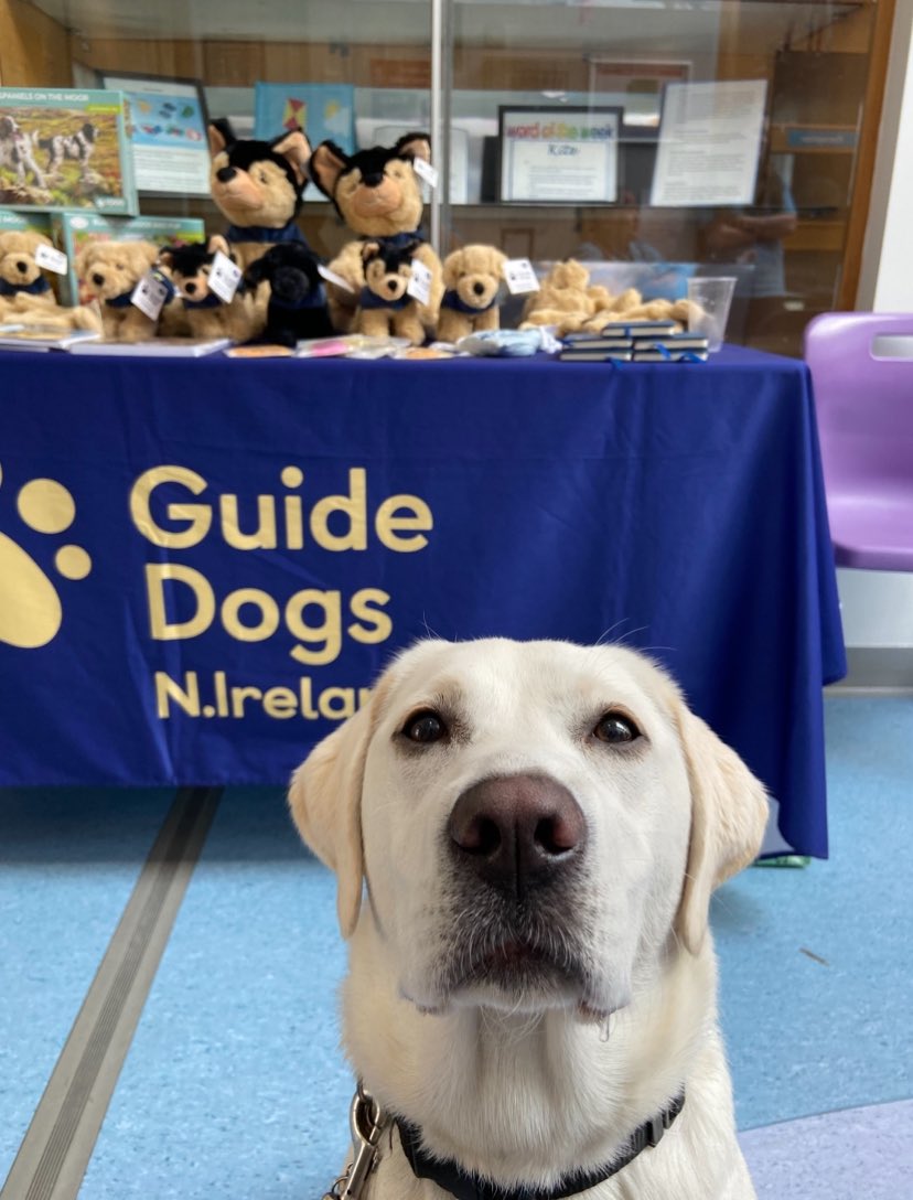 Peter Lockhart (@epl1970) on Twitter photo Willa putting smiles on young faces today with <a href="/guidedogsni/">Guide Dogs NI</a> at Beechcroft <a href="/BelfastTrust/">Belfast Trust</a>
Humbling.
<a href="/gymforthesoul/">Jim Deeds</a> <a href="/WeatherCee/">Cecilia Daly</a> <a href="/AntrimLens/">WeeMan</a> <a href="/MHC_NI/">Mental Health Champion for NI</a> <a href="/AnnMarieCFoster/">Ann-Marie Foster</a> <a href="/stephenblevins9/">Stephen Blevins</a> <a href="/taramillstv/">Tara Mills</a> <a href="/iamfifig/">FiFi Garrett</a> <a href="/AMWallace_NI/">Anne-Marie Wallace</a> Willa putting smiles on young faces today with <a href="/guidedogsni/">Guide Dogs NI</a> at Beechcroft <a href="/BelfastTrust/">Belfast Trust</a>
Humbling.
<a href="/gymforthesoul/">Jim Deeds</a> <a href="/WeatherCee/">Cecilia Daly</a> <a href="/AntrimLens/">WeeMan</a> <a href="/MHC_NI/">Mental Health Champion for NI</a> <a href="/AnnMarieCFoster/">Ann-Marie Foster</a> <a href="/stephenblevins9/">Stephen Blevins</a> <a href="/taramillstv/">Tara Mills</a> <a href="/iamfifig/">FiFi Garrett</a> <a href="/AMWallace_NI/">Anne-Marie Wallace</a>