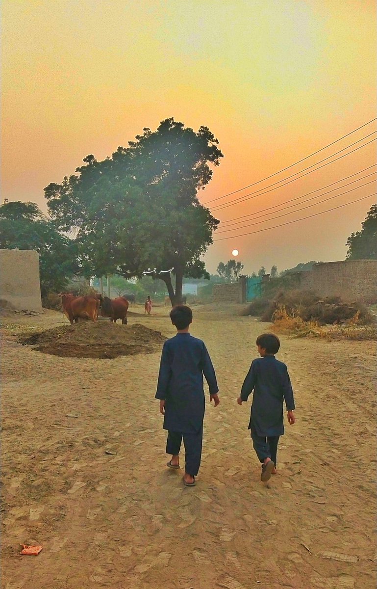 اے دوست بتا تو کیسا ہے
کیا اب بھی محلّہ ویسا ہے ؟
وہ لوگ پرانےکیسے ہیں ؟
کیا اب بھی وہاں سب رہتے ہیں ؟
جن کو میں تب چھوڑ گیا
دوکان تھی جو ایک چھوٹی سی
کیا بوڑھا چاچا ہوتا ہے ؟
کیا چیزیں اب بھی ہیں ملتی 
بسکٹ ، پاپڑ اور گولی 
اور گولی کھٹی میٹھی سی ؟
بیری والے گھر میں اب بھی
کیا