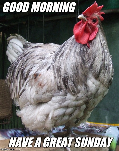 PilatesCentral2's tweet image. 😀

The Pilates Central Team

#ReformerPilates #PilatesUK #StrengthAndFlexibility #MindfulMovement #PilatesForEveryone