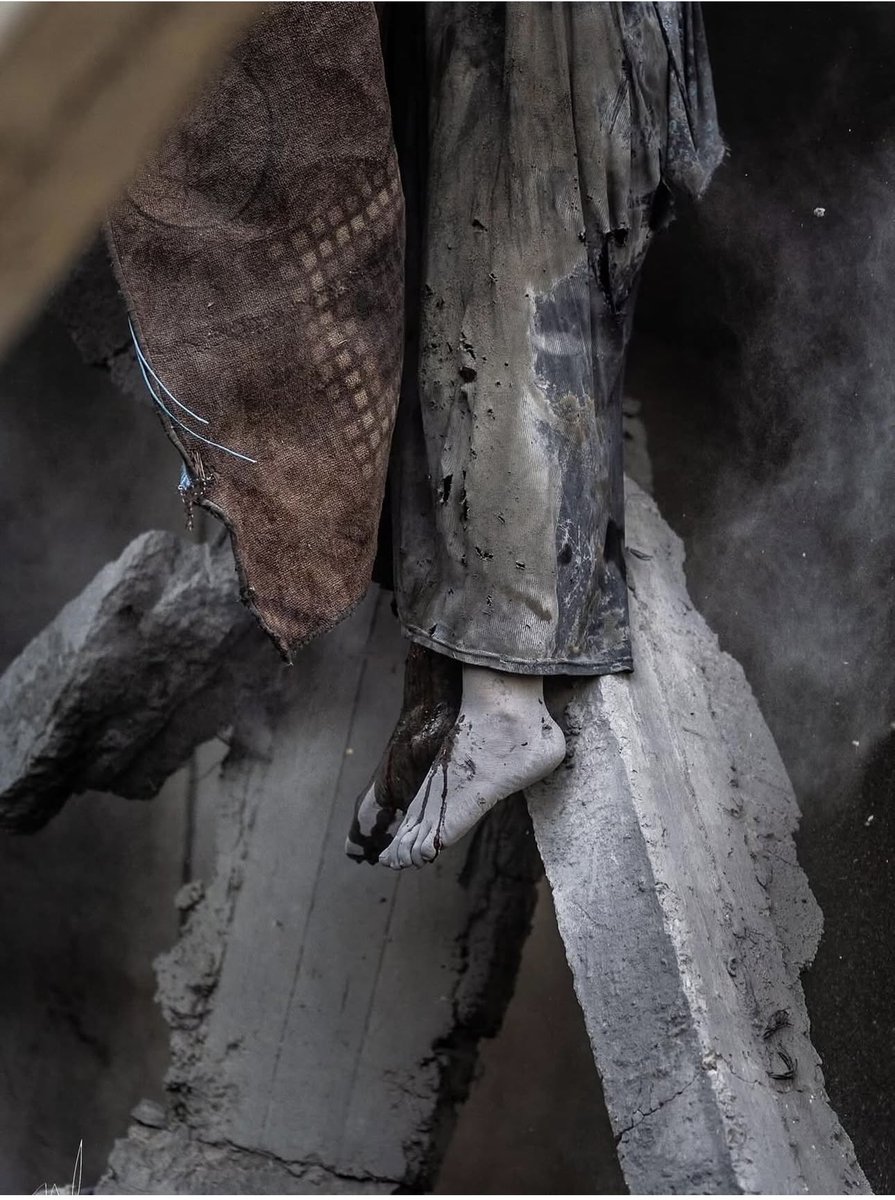 أجساد أطفال غزَّة معلقة على الجدران💔
اللهمَّ من خذلهم فاخذله
ومن قتلهم فاقتله
ومن جوَّعهم فجوّعه
ومن أظمأهم فأظمئه
ومن خوّفهم فخوّفه
اللهم عدلكَ وانتقامك لغزَّة!