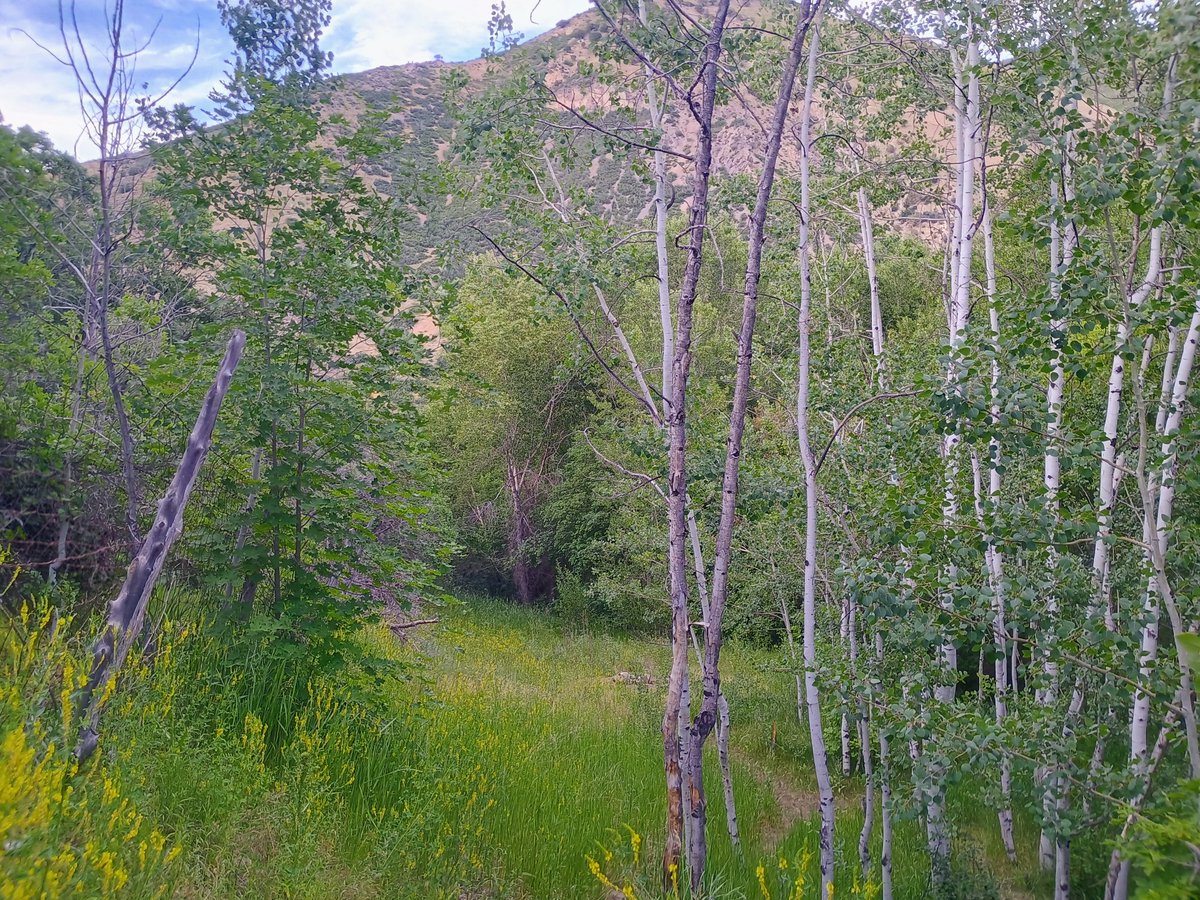 Such beautiful scenery