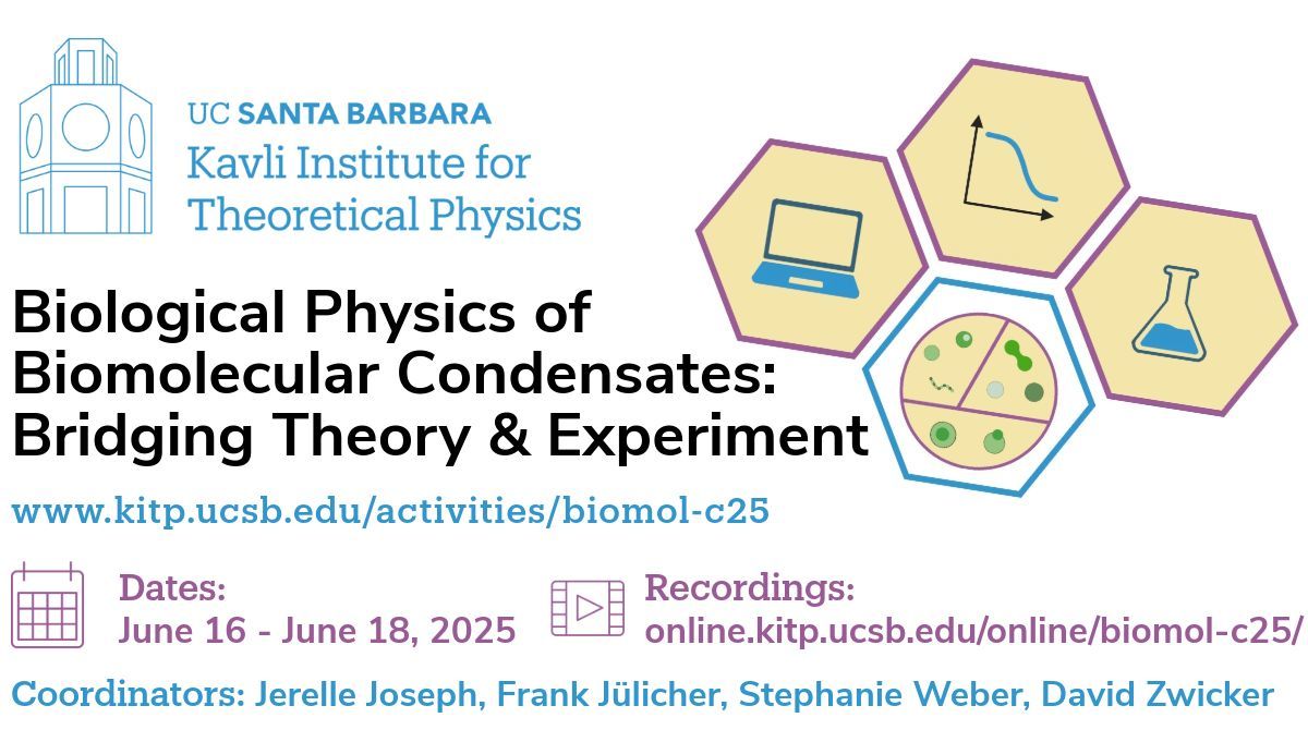 KITP_UCSB's tweet image. Welcome to the Biological Physics of Biomolecular Condensates: Bridging Theory and Experiment (#biomol-c25) Conference at #KITP kitp.ucsb.edu/activities/bio…
If you are unable to attend or want to revisit any talks, recorded sessions are available to watch at: online.kitp.ucsb.edu/online/biomol-…
