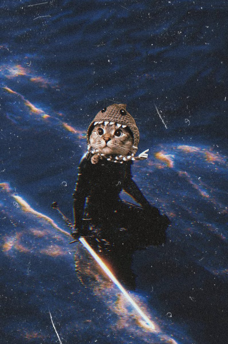 channel your inner mf shark 🦈🐱⚔️
