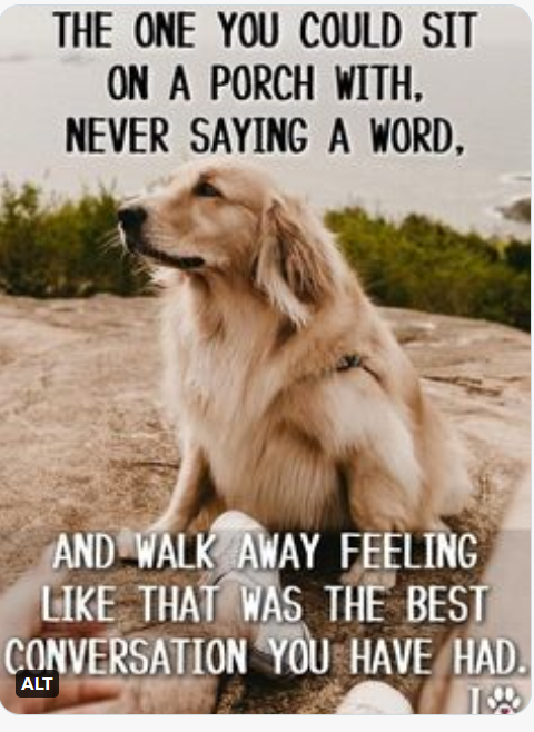 HorseBelle (@seabiscuit7) on Twitter photo 