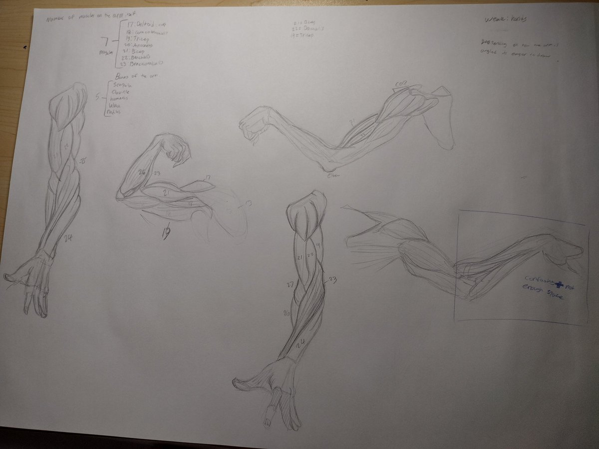 morter43's tweet photo. #artstudy https://t.co/NK3zNqnCQR