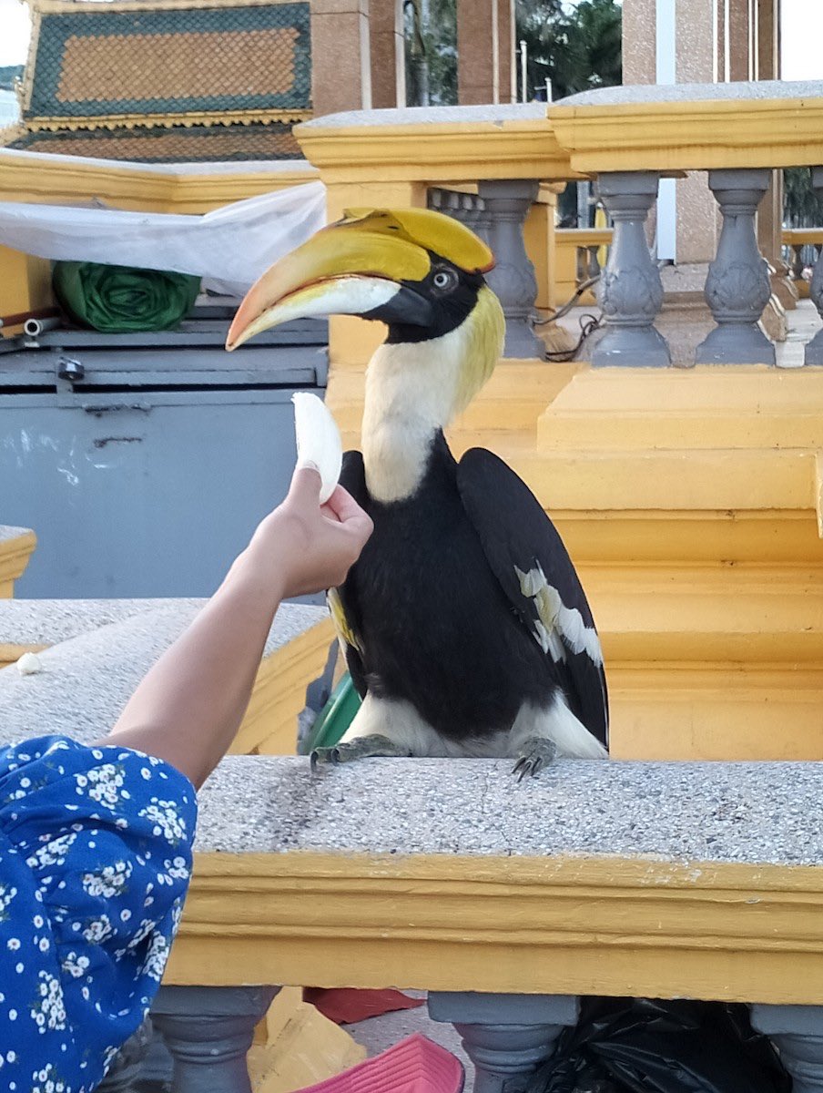 Hahah that                     I SAID
Tickles stop!                  STOP