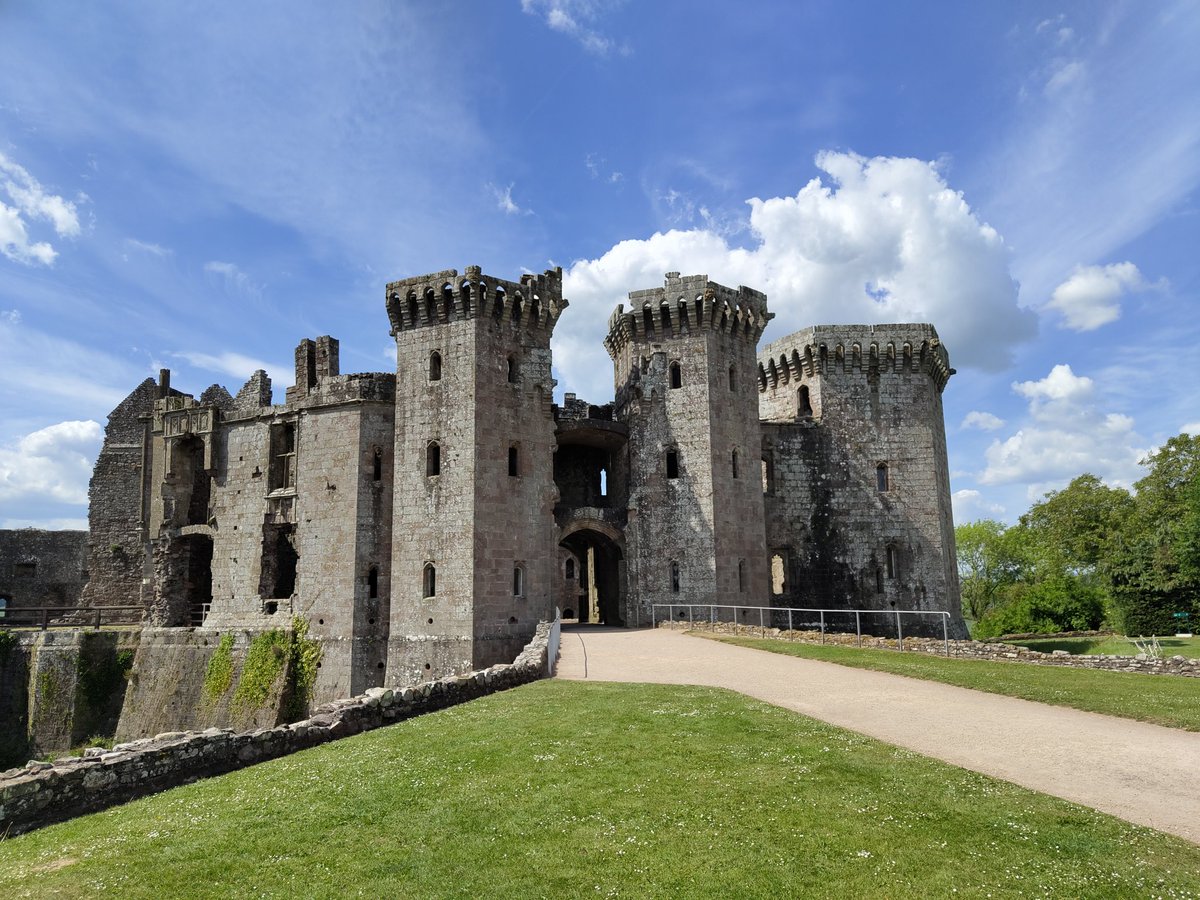 Jessie Doggie Diva 🌈 tweet media