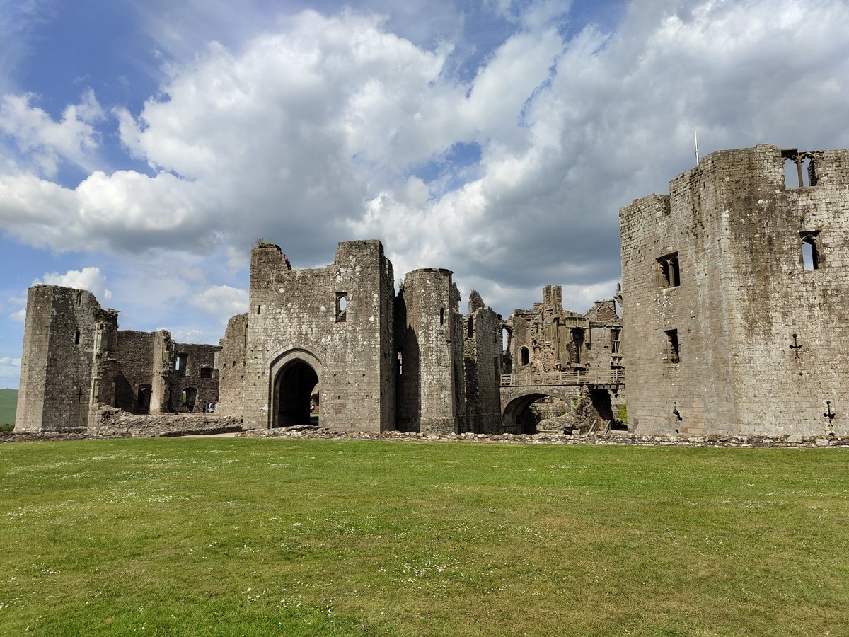 Jessie Doggie Diva 🌈 tweet media