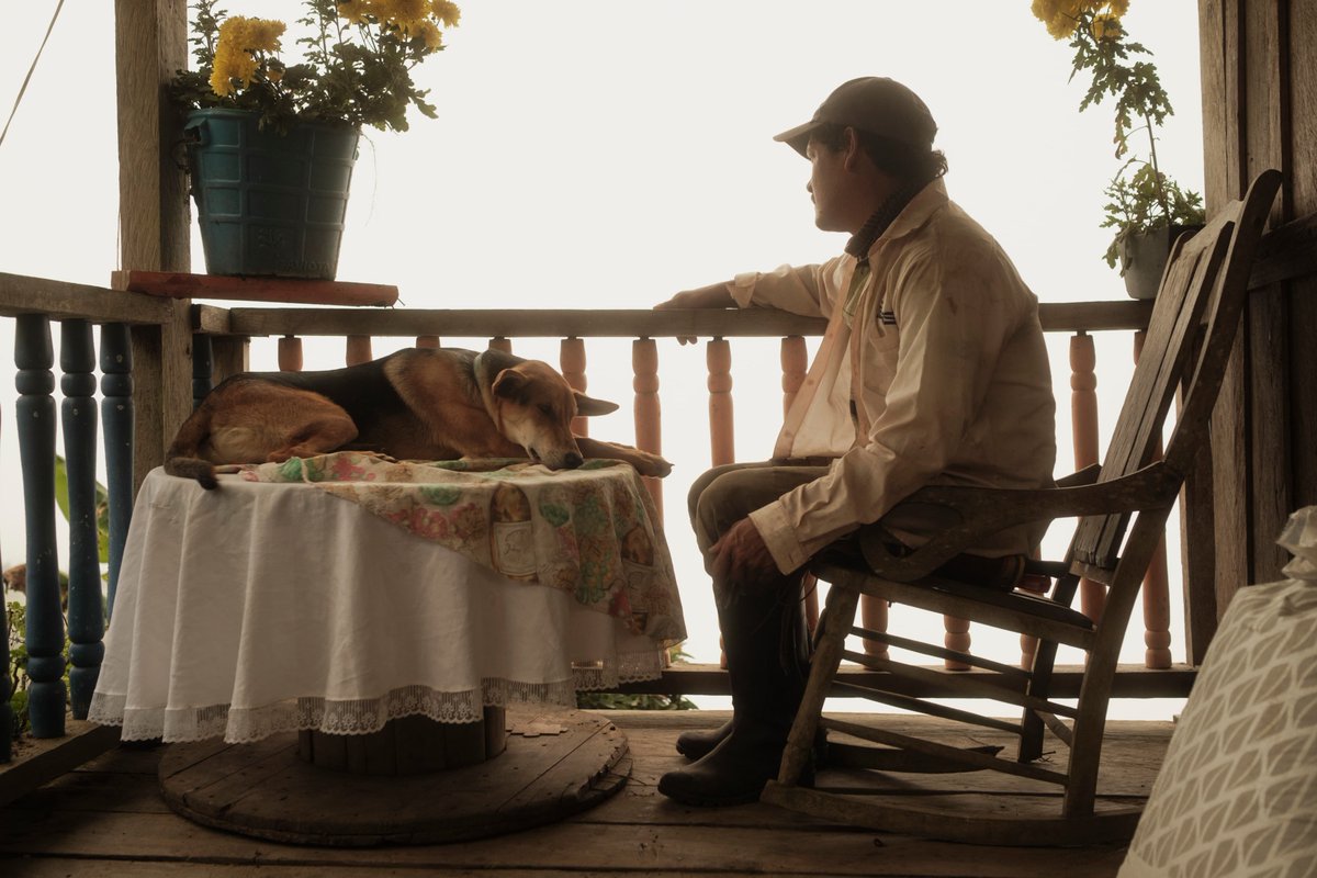 "No somos malos. Nuestro único compromiso es con el agua", dice Rodolfo, campesino, cafetero y líder comunitario. 

Dejó atrás un trabajo en la minera para cuidar lo que de verdad importa: el agua que nace en las montañas.
