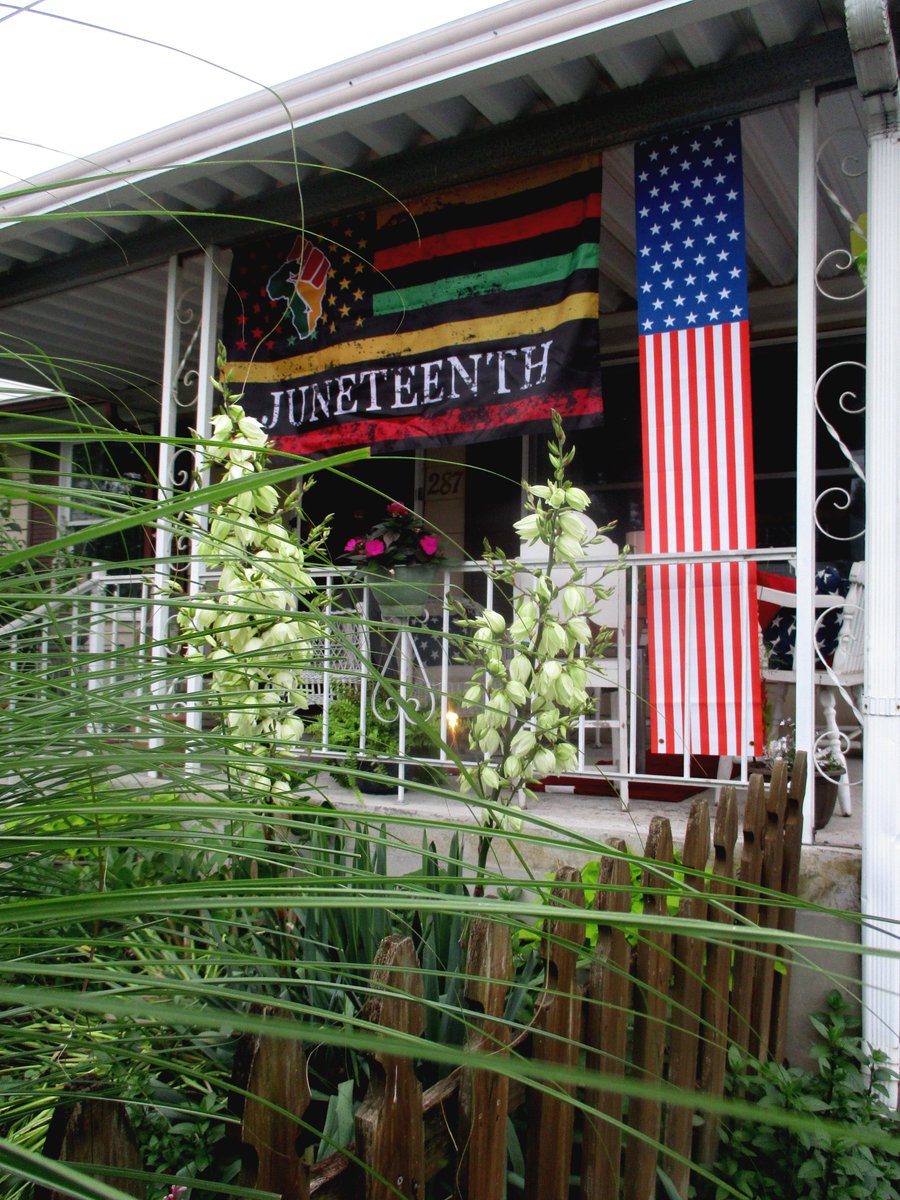 HermitsDaily's tweet photo. Decorated early for this week's holiday!   #Juneteenth #June19 #holiday #history #slavery #historyofslavery #africa #juneteenthflag #juneteenthcelebration #civilrights #equalrights https://t.co/RaORjoCiCL